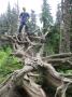 gal/2016/13_Ostruzna Jeseniky/_thb_IMG_4503.JPG